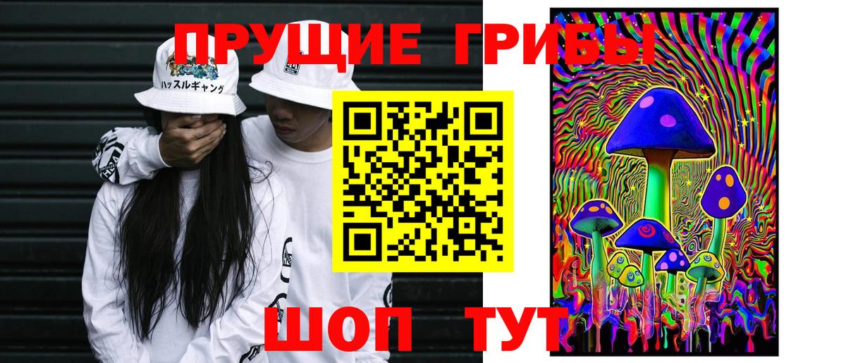 Бузулук  купить наркотики цена  Вход с VPN  Псилоцибиновые грибы ЛСД  Псилоцибиновые грибы Psilocybine cubensis 