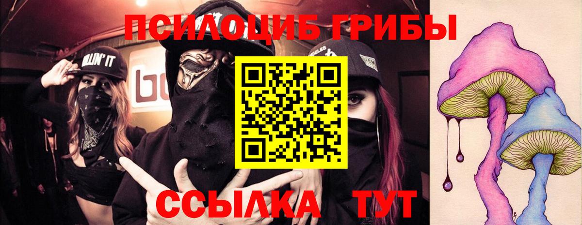 Галлюциногенные грибы Cubensis Бузулук